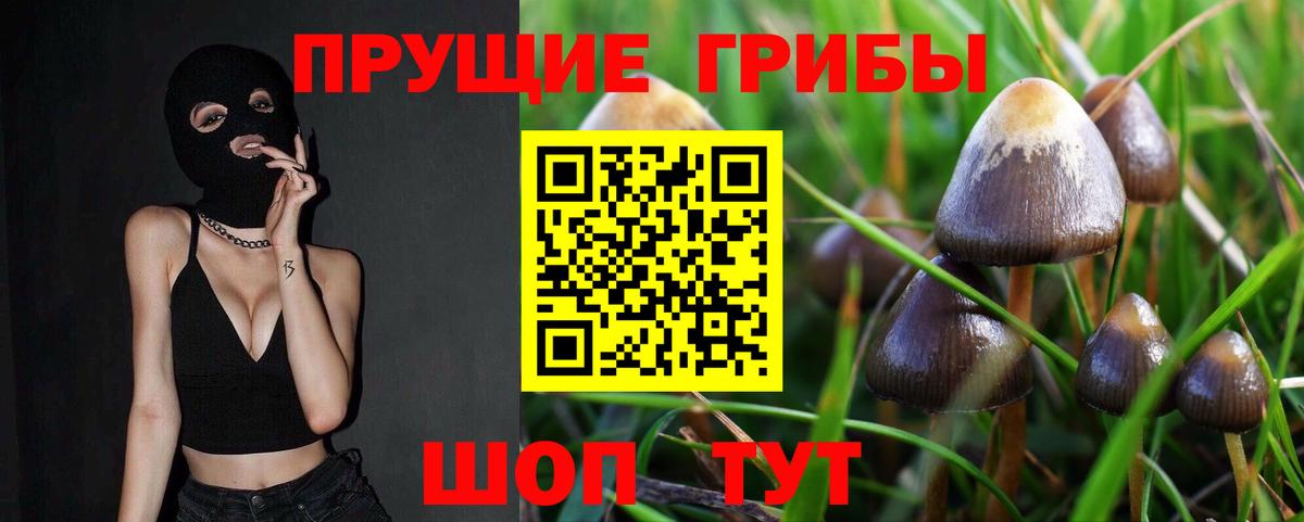 Псилоцибиновые грибы мицелий  Вход с VPN  Полысаево  купить наркоту  Галлюциногенные грибы Psilocybine cubensis 